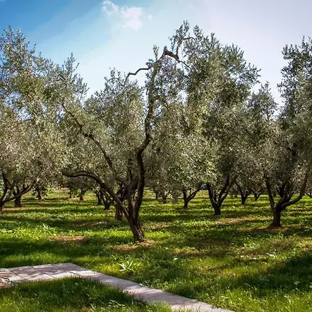 Borgo Rurale San Giusto Castagneto Carducci