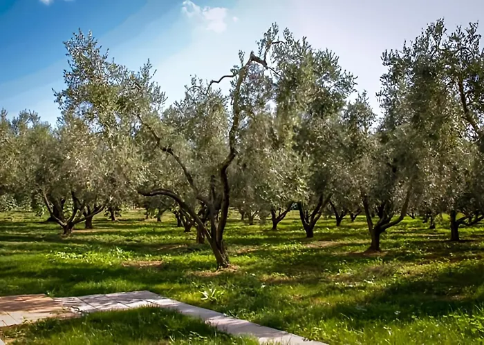 Borgo Rurale San Giusto Lantställe *